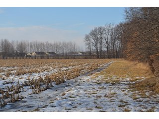 Property photo 46 - FARMLAND AUCTION, 60+/- Acres in 6 Tracts ranging from 4 to 20 acres & in combinations!